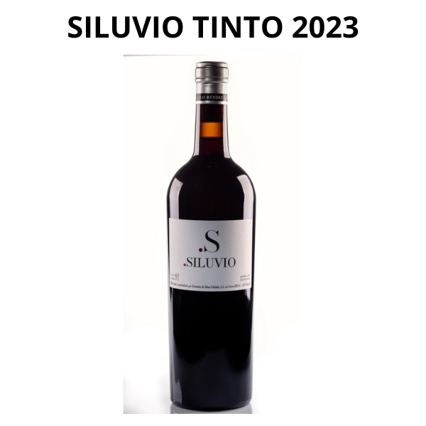 Siluvio 2023
